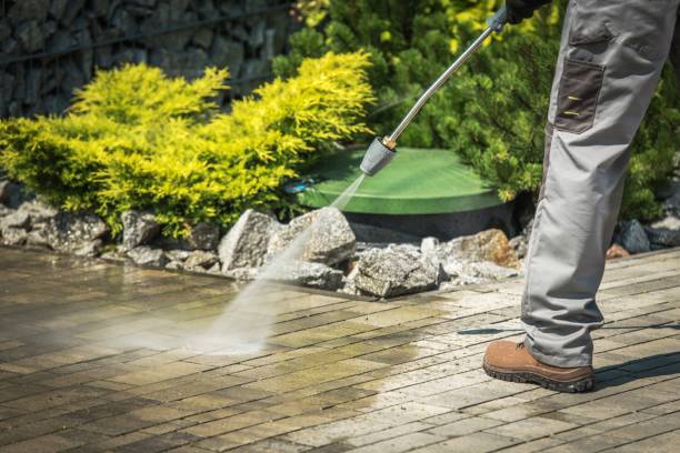 Best Warehouse Cleaning  in Leonardtown, MD
