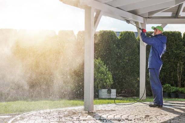 Pre-Holiday Cleaning in Leonardtown, MD