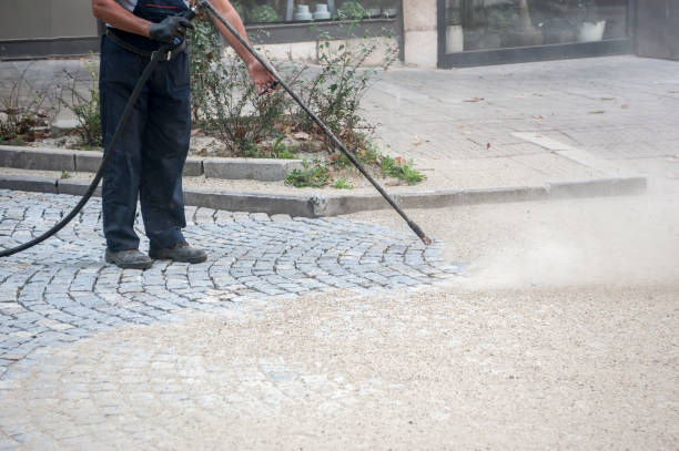Best Driveway Pressure Washing  in Leonardtown, MD